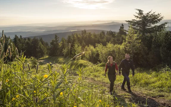Erzgebirge