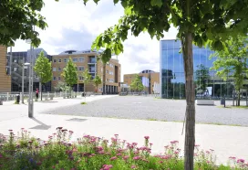 Uniklinik Greifswald